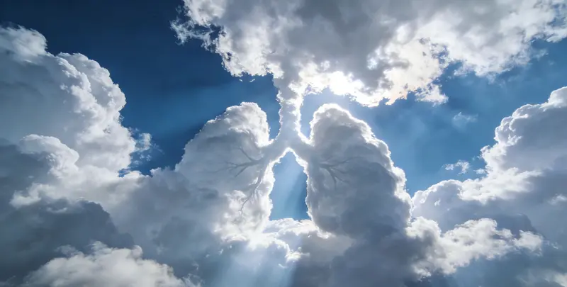 德州肺癌68基因检测图片1