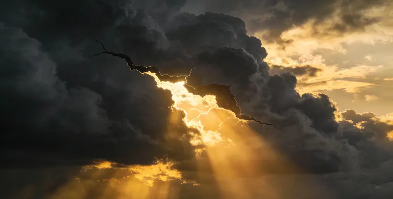 德州肺癌8基因突变检测（组织）图片1