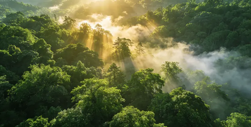 德州肺癌靶向120基因检测（组织）图片1