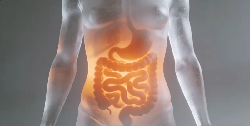 德州胃癌靶向用药39基因检测及PDL122C3表达检测套餐（组织）图片1